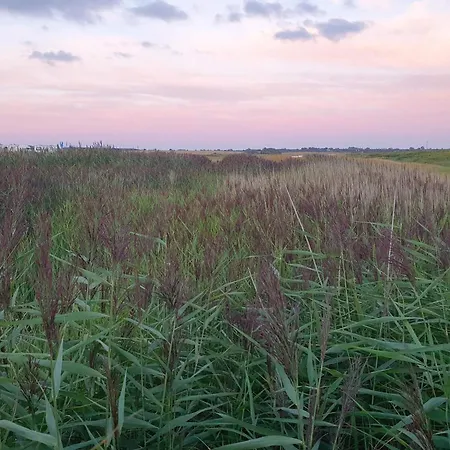 度假居 8 Person In Haderslev-by Traum *